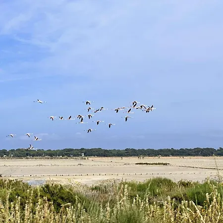 Apartament Hyedhi Pour 4 Personnes Avec Vue Sur Le Port D'hyeres *