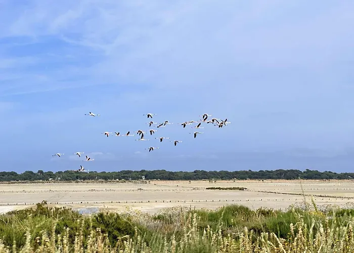 Apartament Hyedhi Pour 4 Personnes Avec Vue Sur Le Port D'hyeres *
