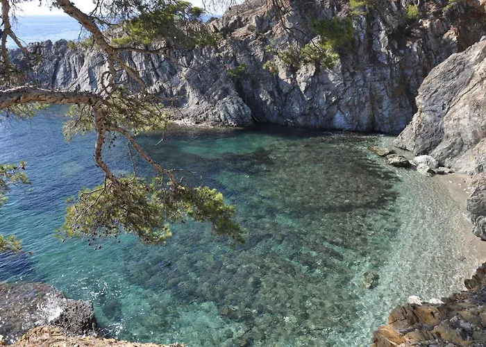 Hyedhi Pour 4 Personnes Avec Vue Sur Le Port D'hyeres Apartament